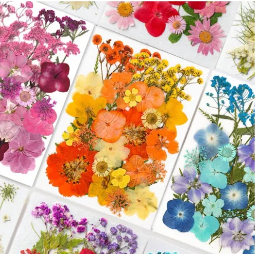 30pcs Dried Flowers for Resin Art RESIN ART HUB Necklaces