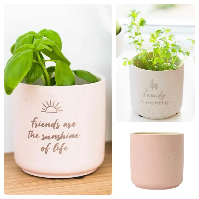 Assorted Positive Planter Pots Splash Earrings