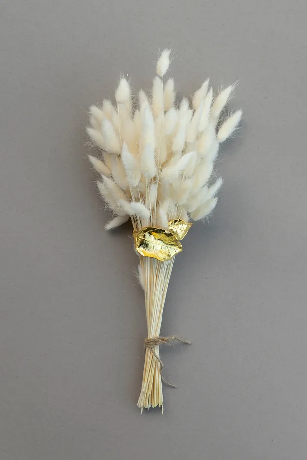 Botanicals Petals of Grace Bracelet tohum Bracelets