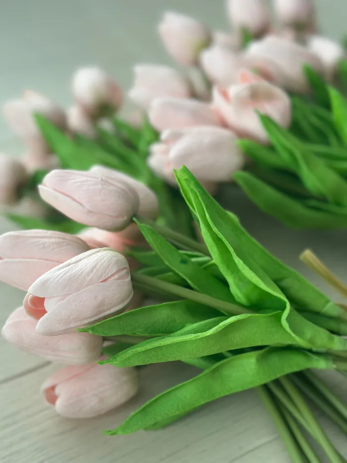 Candlewick Gift Shop Real Touch Tulip Bundles Earrings