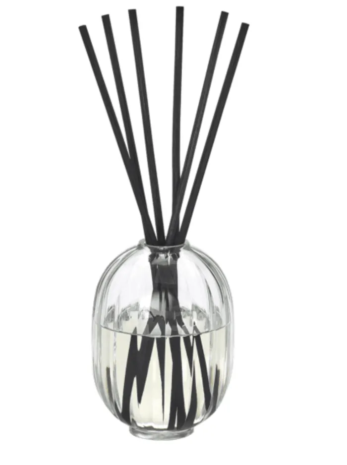 Diptyque Earrings HOME FRAGRANCE DIFFUSER