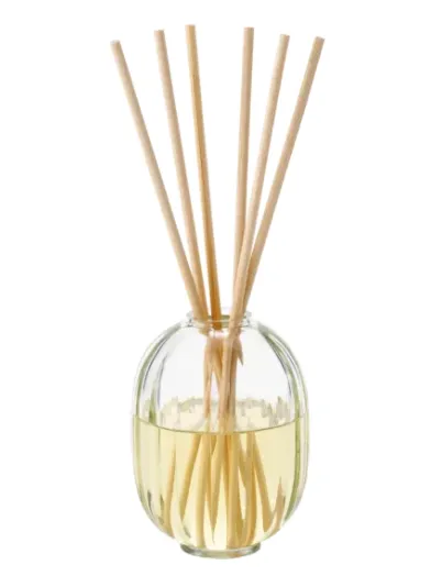 Diptyque Earrings HOME FRAGRANCE DIFFUSER