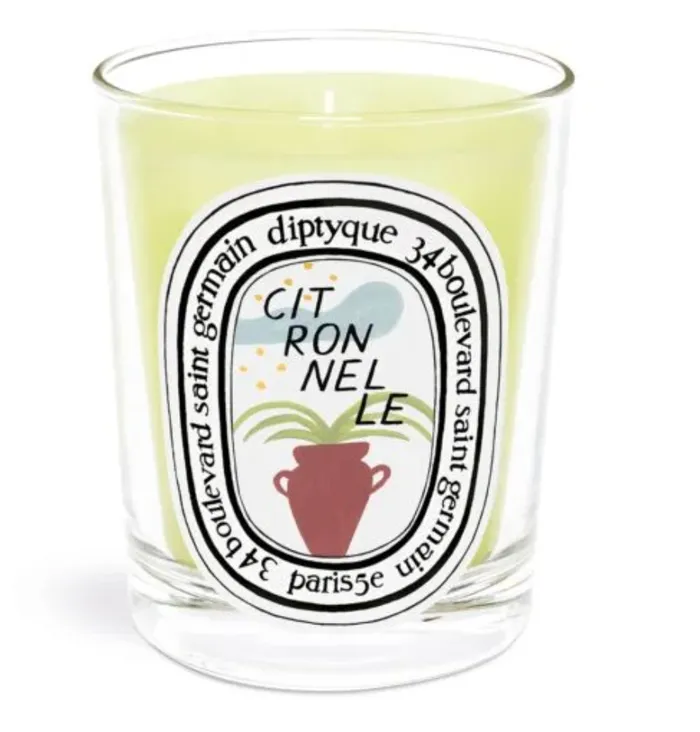 Earrings CITRONNELLE LEMONGRASS CANDLE 190G Diptyque