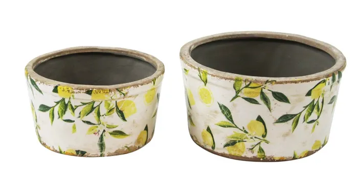Earrings Splash Lemon Planter