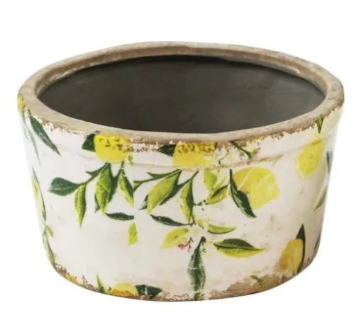 Earrings Splash Lemon Planter Earrings Splash Lemon Planter