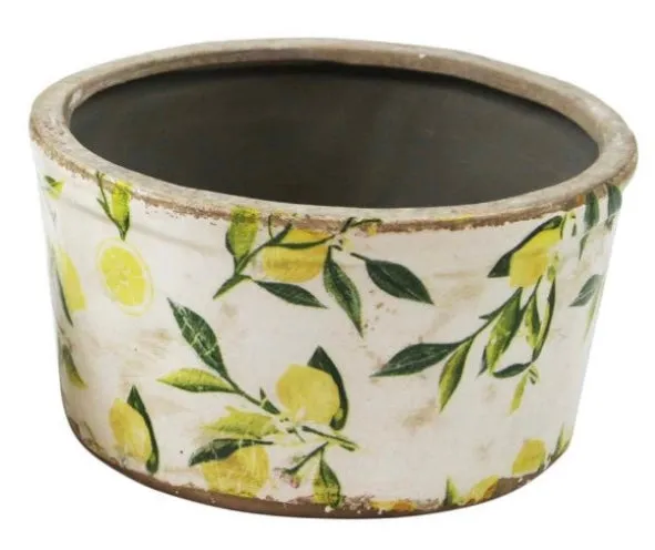 Earrings Splash Lemon Planter Earrings Splash Lemon Planter