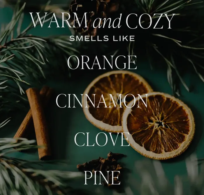 Earrings Sweet Water Decor Warm Cozy Hanging Air Freshener