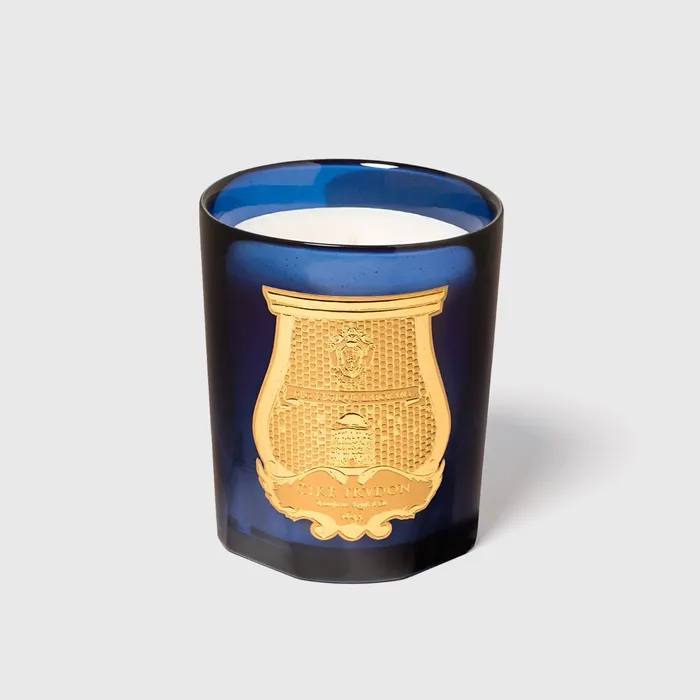 Esterel Classic Candle Mimosa Cire Trudon Earrings