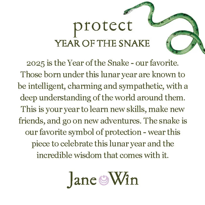 Jane Win PROTECT Year of the Snake Pendant Coin Necklaces