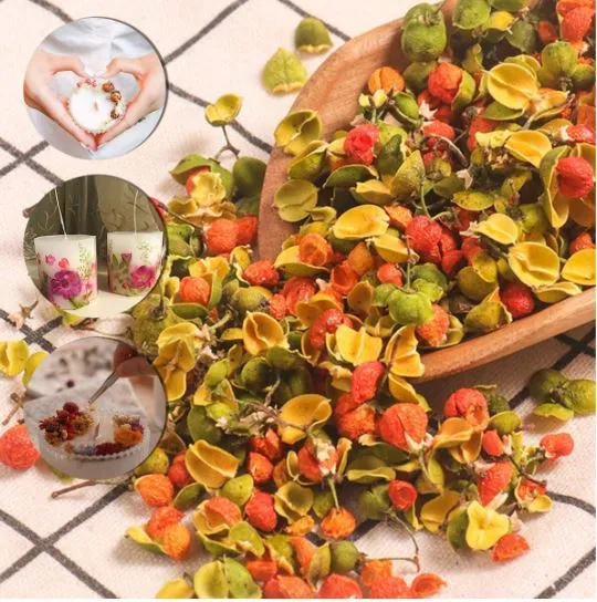 Julibrissin Persian Dried Flower for Candle Making Resin Art Hub Necklaces