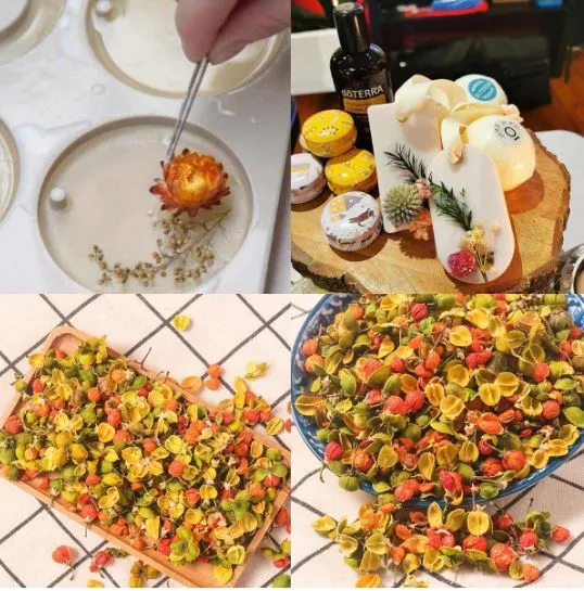 Julibrissin Persian Dried Flower for Candle Making Resin Art Hub Necklaces