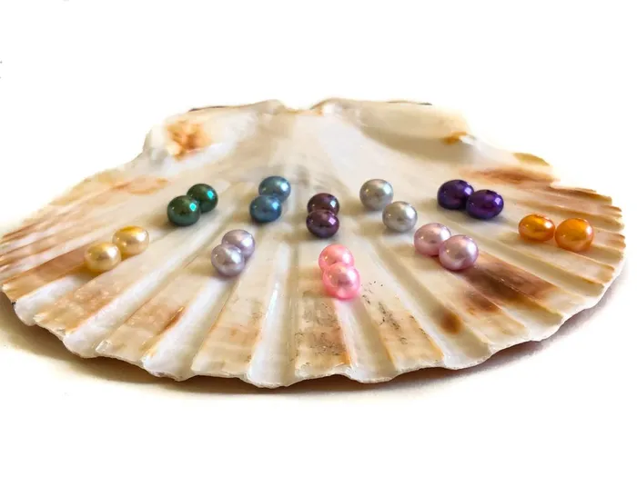 Loose Pearl Button Shaped Flat Bottom LPBP8 Earrings Loose Pearl Button Shaped Flat Bottom LPBP8 Earrings