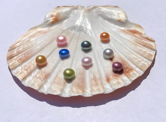 Loose Pearl Button Shaped Flat Bottom LPBP8 Earrings Loose Pearl Button Shaped Flat Bottom LPBP8 Earrings
